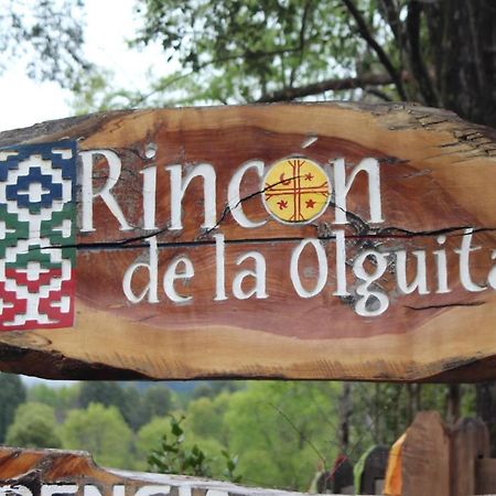 Vila El Rincon De La Olguita Curacautín Exteriér fotografie