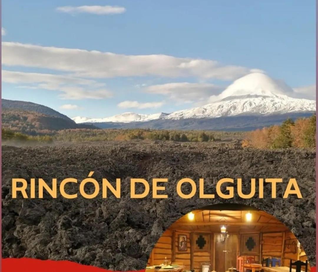 Vila El Rincon De La Olguita Curacautín Exteriér fotografie