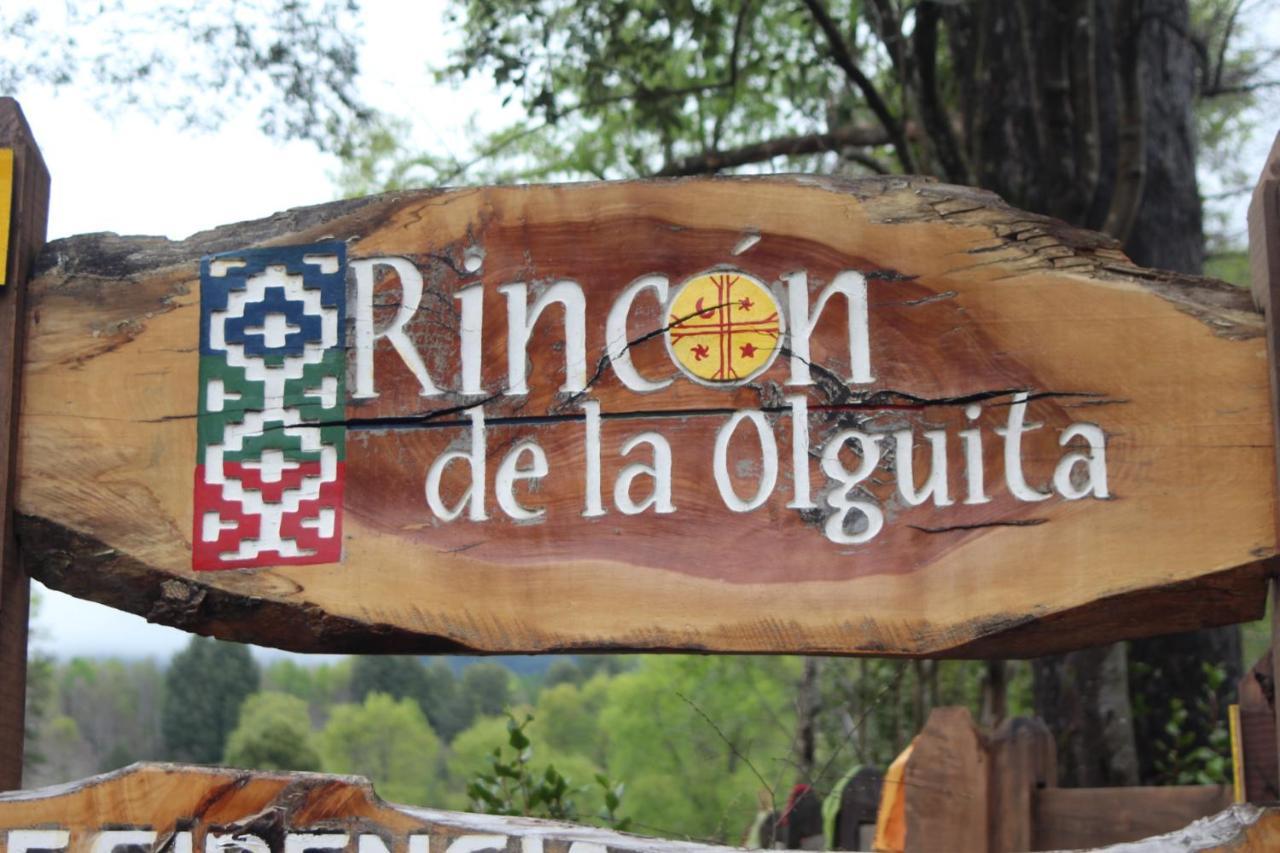 Vila El Rincon De La Olguita Curacautín Exteriér fotografie