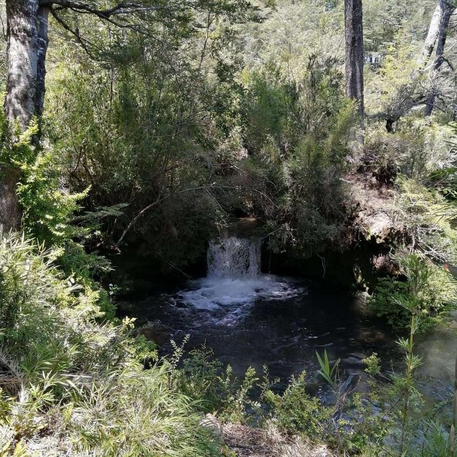 Vila El Rincon De La Olguita Curacautín Exteriér fotografie